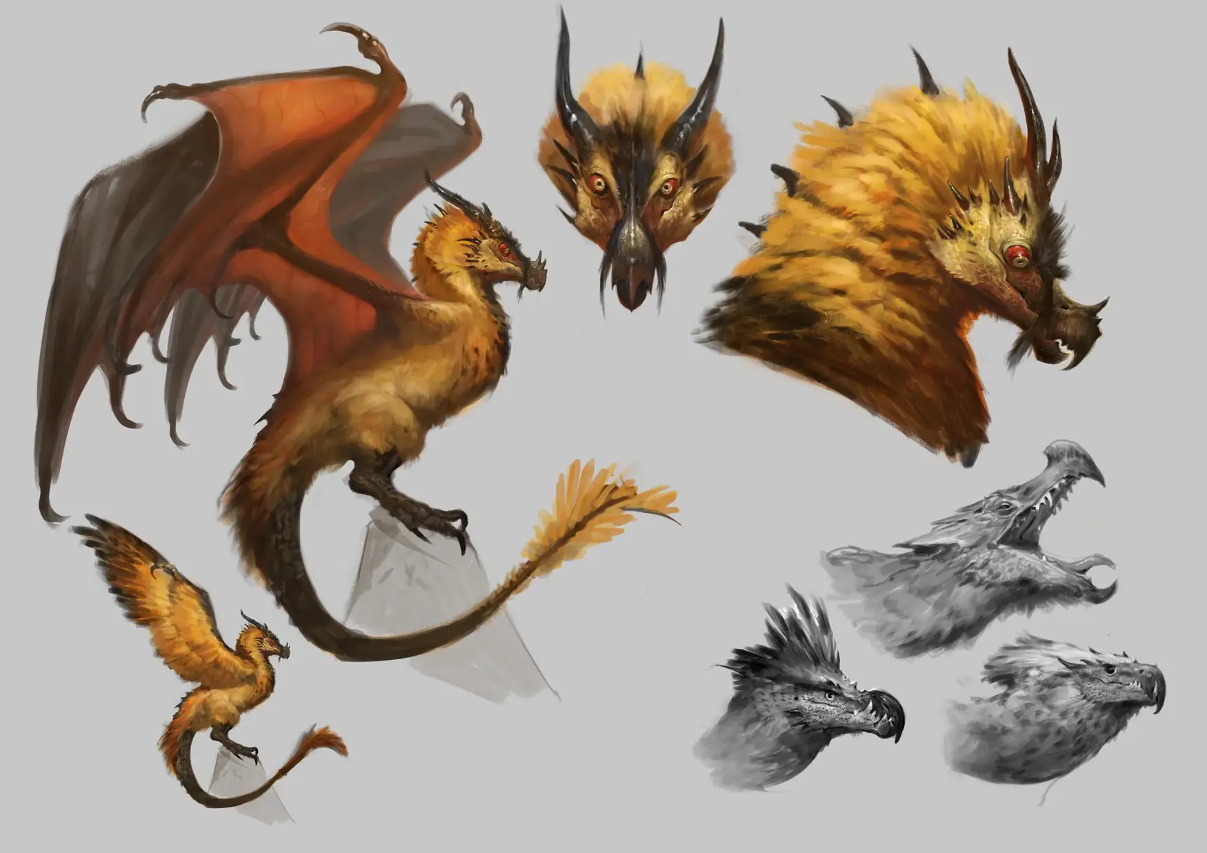 Creature design sheet of a feathered raptor-dragon with head studies and colour variants.