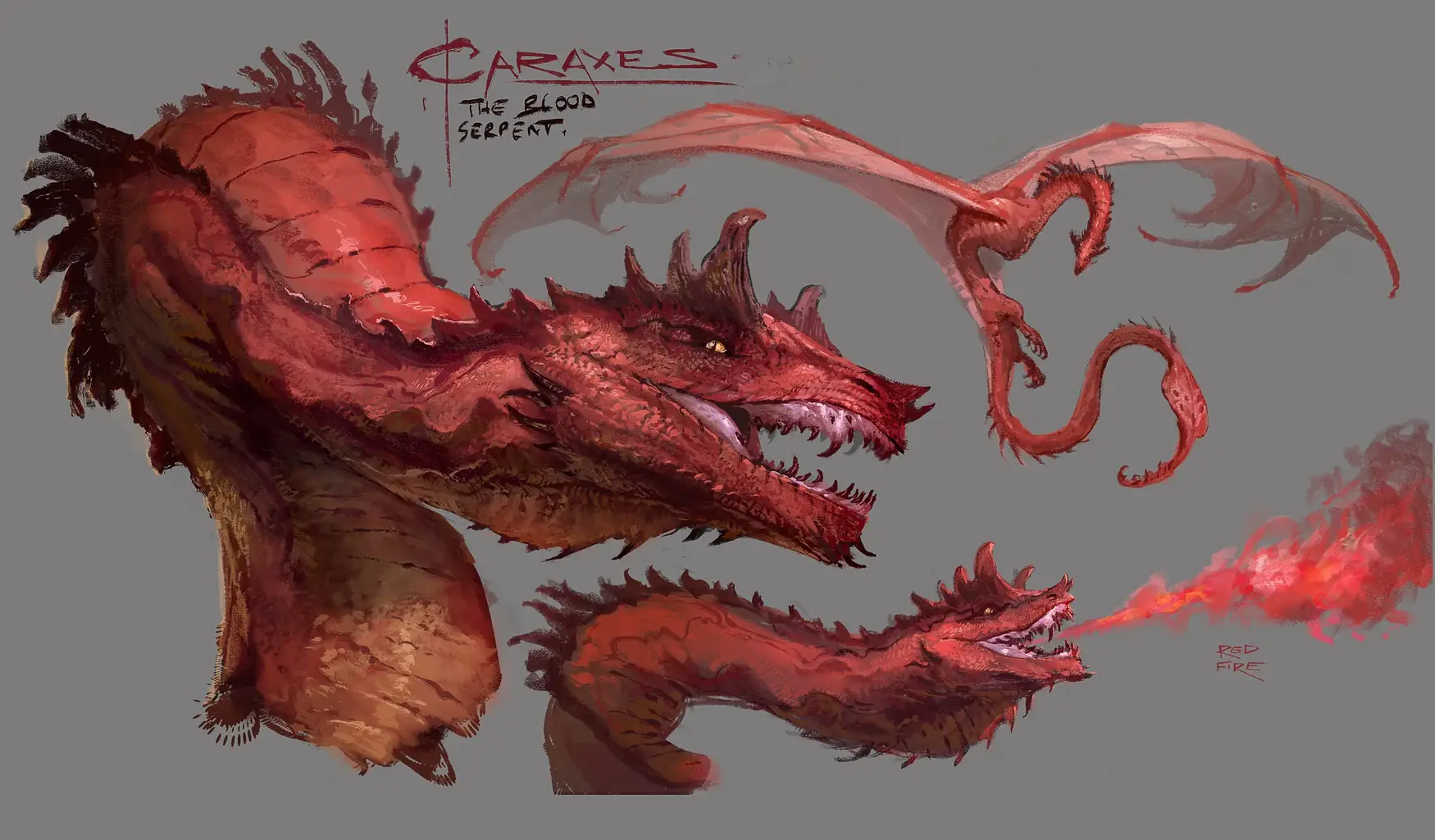 Design sheet of a red serpentine dragon with head study, wing anatomy and fire test.